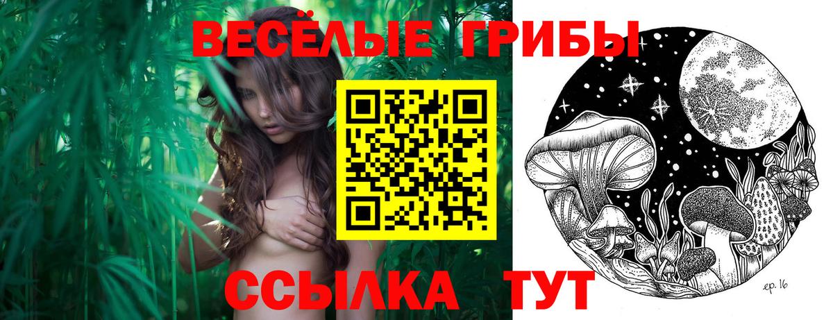 Галлюциногенные грибы Magic Shrooms Артём