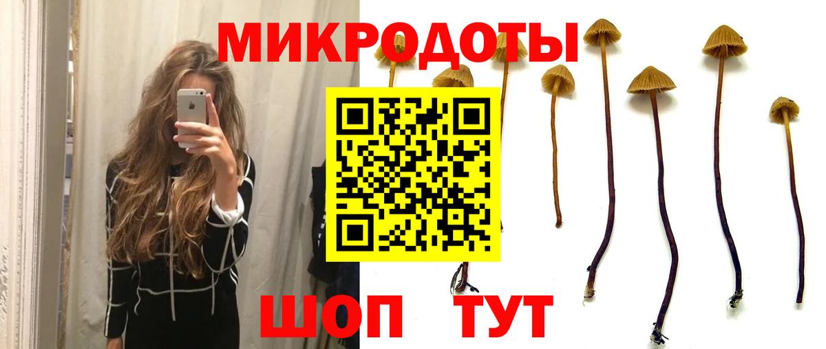 Галлюциногенные грибы Psilocybe  купить наркотики сайты  Артём  Вход с VPN  Псилоцибиновые грибы MAGIC MUSHROOMS 